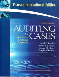 Image of Auditing Cases : An Interactive Learning Approach